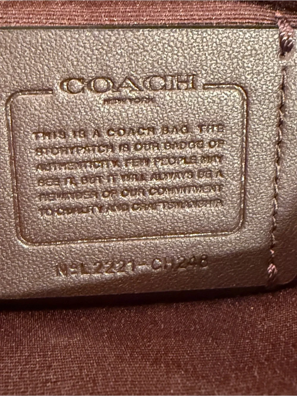 Coach logan bucket